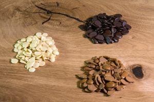 wypełniacze do sęków